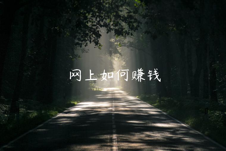 網(wǎng)上如何賺錢